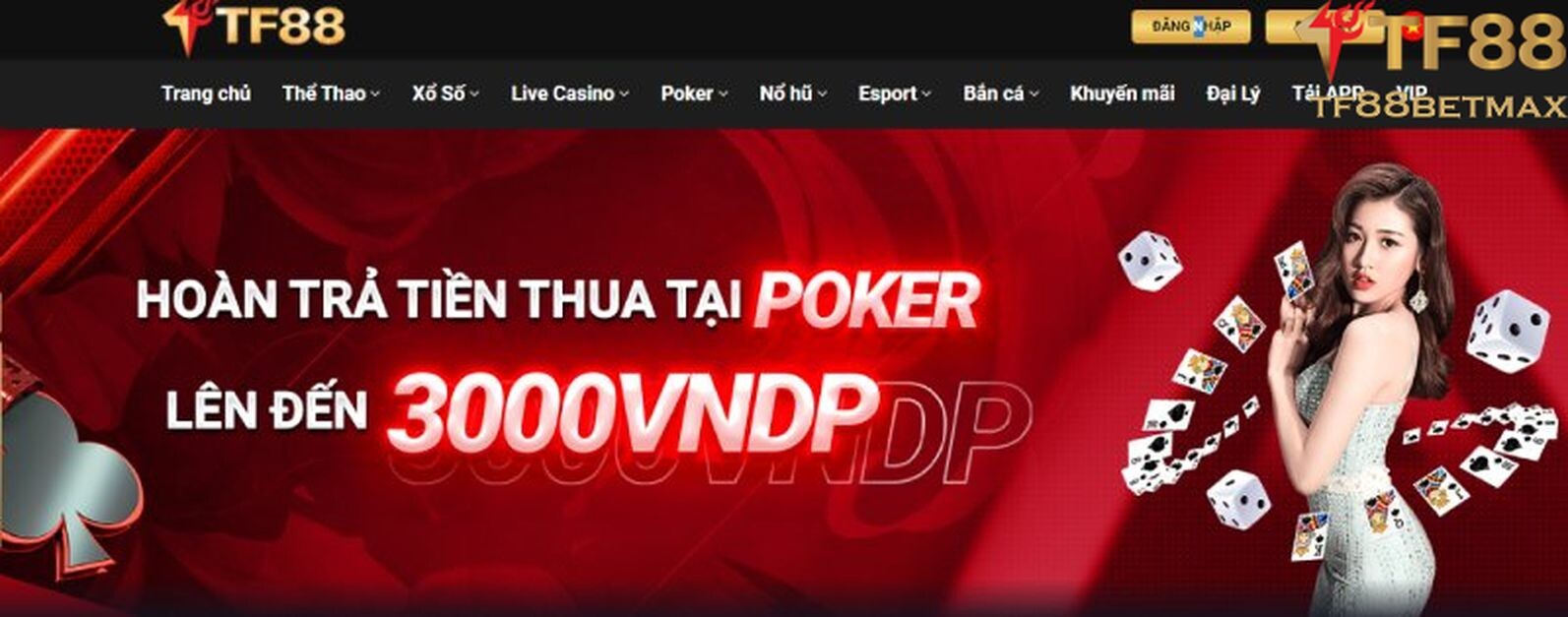 Khuyến mãi Poker TF88 hoàn trả lên đến 3000 VNDP